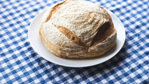 نان خانگی؛ از خمیر ترش تا فر خانگی